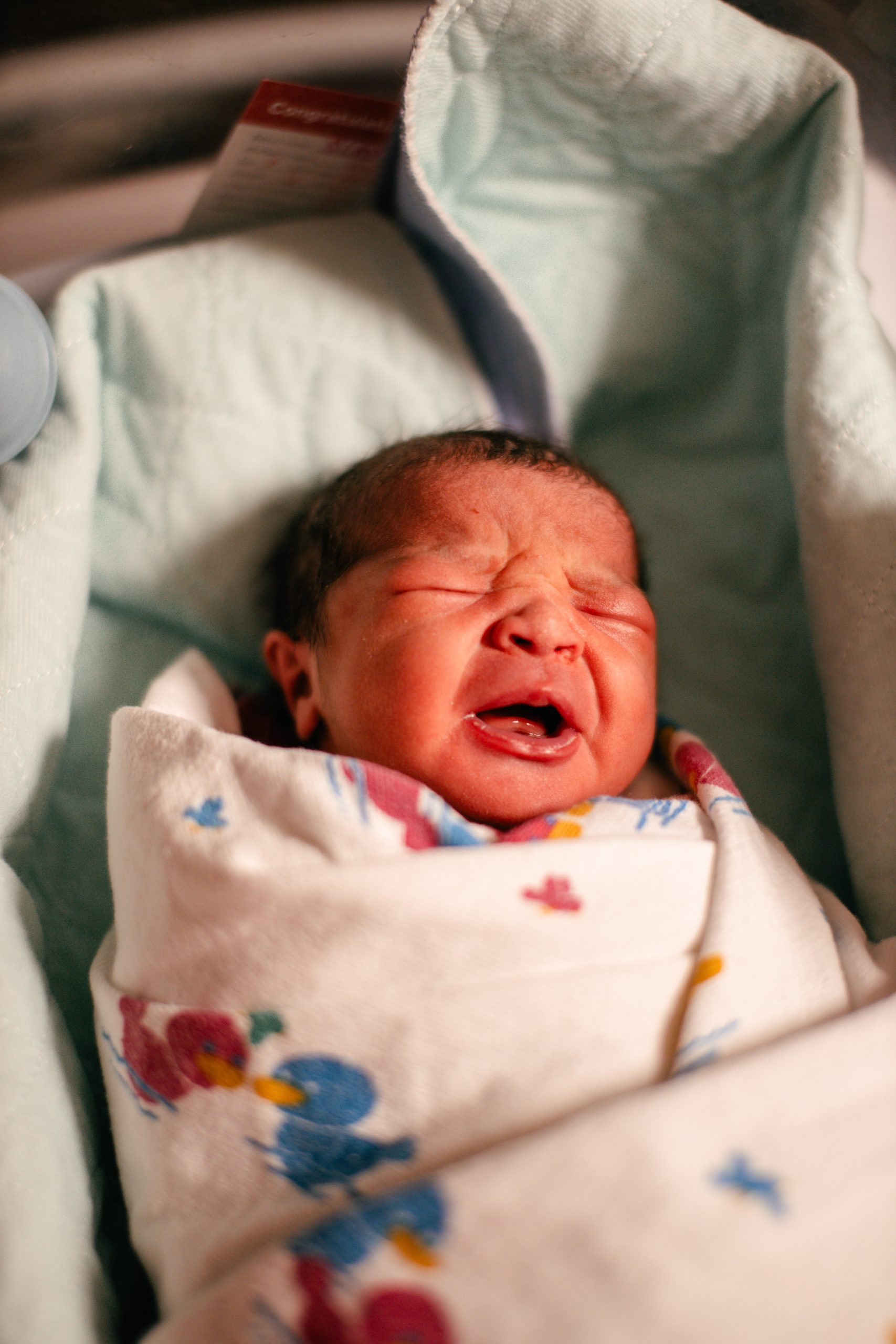 Houston Baby Milestone Photographer